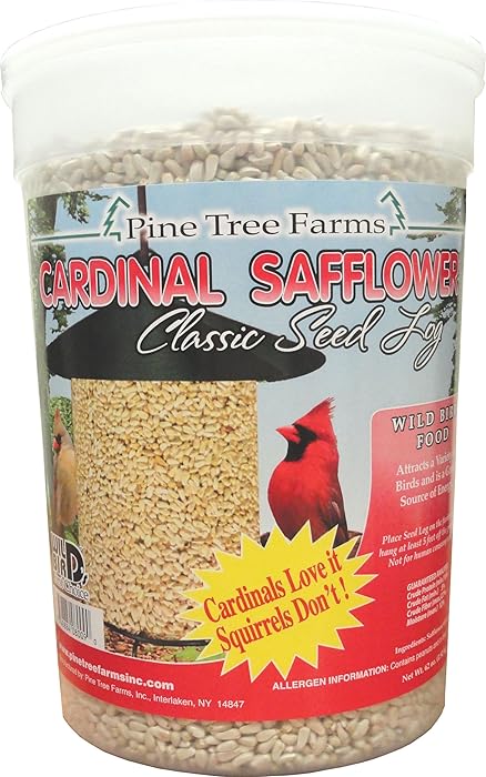 Top 10 Cylinder Safflower Bird Food
