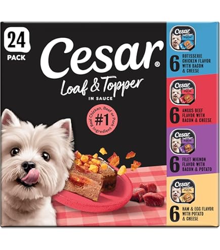 Amazon.com: Cesar Cesar Canine Cuisine Wet Dog Food, 8 Flavor Variety Pack  Classic Loaf in Sauce (3.5 Ounce ., 40 ct.), 140 Ounce : Pet Supplies