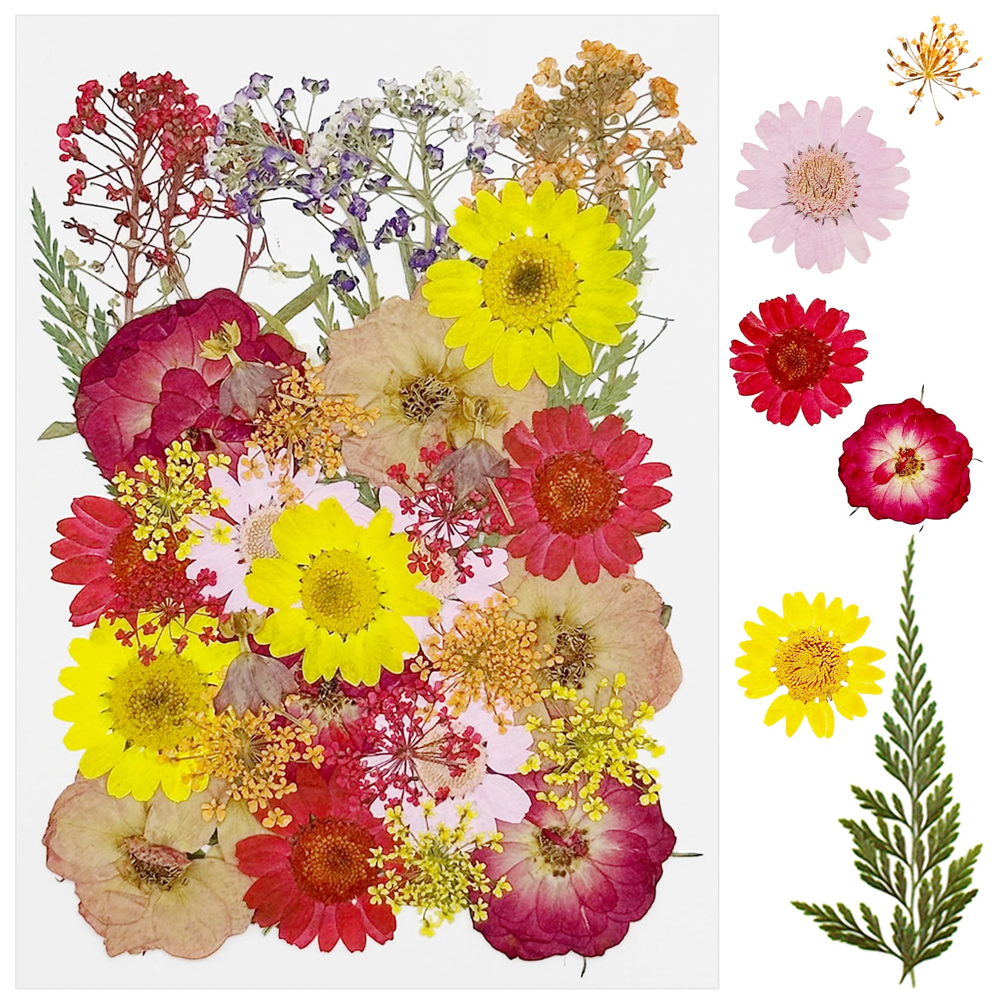 Cayway 40 PCS Dried Pressed Flowers for Resin, Real Pressed Flowers Dry Leaves Kit Natural Dried Pressed Leaves for Art Crafts Resin Scrapbook Supplies Soap Candle DIY, Pink and Red Rose