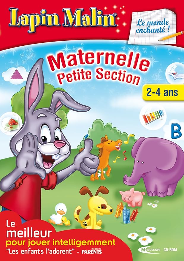JEUX LAPIN MALIN MATERNELLE 3 PC/MAC Loconville 60240 Console