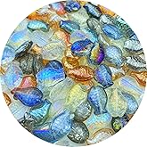 Honkoolly 90pcs Fish Crystal Glass Beads for Jewelry Making Fish Glass Spacer Beads for Earring Bracelet Necklace Key Chains Jewelry DIY Craft Making, 14x10mm