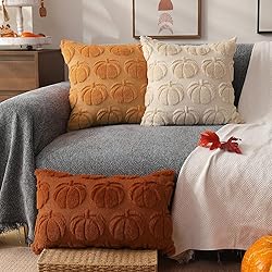 DFXSZ Fall Pillow Covers 16x16 Set of 2 Fall
