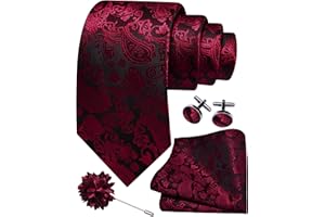 GUSLESON 3.15"（8cm） Mens Paisley Tie and Lapel Pin Necktie Hankerchief Cufflinks Set for Men