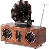 Asxill Retro Bluetooth Speaker with FM Radio &amp; Dual-Speaker Design | 10W Stereo Sound, Bluetooth 5.4, 15H Playtime, 1800mAh Battery, AUX/TF Card/USB Playback - Wireless Speaker for Home Kitchen