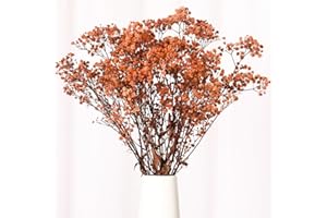 JTODER Babys Breath Dried Flowers Bouquet-17'' 1800+ Ivory Dry Flowers, Natural Gypsophila Branches for Wedding, Home Table Vase Decor, DIY Wreath Floral, Fall Thanksgiving Autumn Decoration (Brown, 2oz)