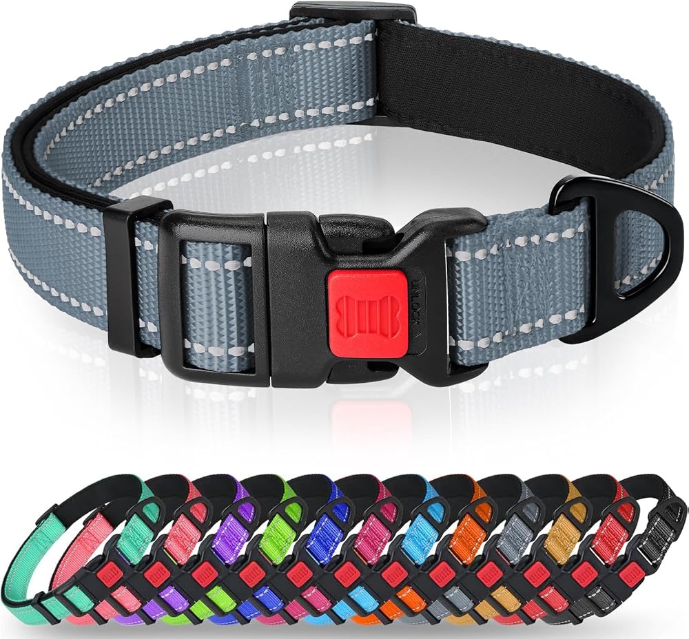 Taglory Reflective Nylon Dog Collar with Safety Buckle Medium Grey