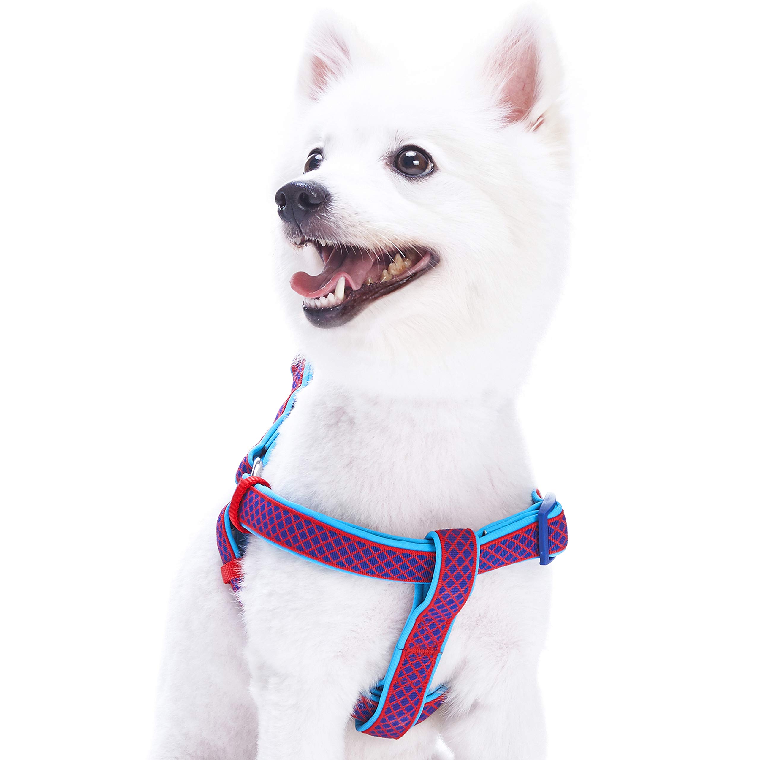Blueberry Pet Comfy Step-in Urban Chic Diamond Pattern Padded Dog Harness, Chest Girth 40cm-50cm, Bold Red, XS/S, Adjustable Harnesses for Dogs