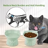MeetoZ Ceramic Elevated Cat Bowls, 2 Wide Raised Food & Water Dishes (Green) view 3