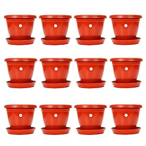Gamla / Planter / Pot 8-inch (pack of 12 Pots) (Red / terracotta colour pot)with Bottom plate / tray (12 PC