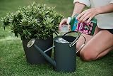 Westland Ericaceous High Performance Liquid Plant Food 1 Litre Green view 5