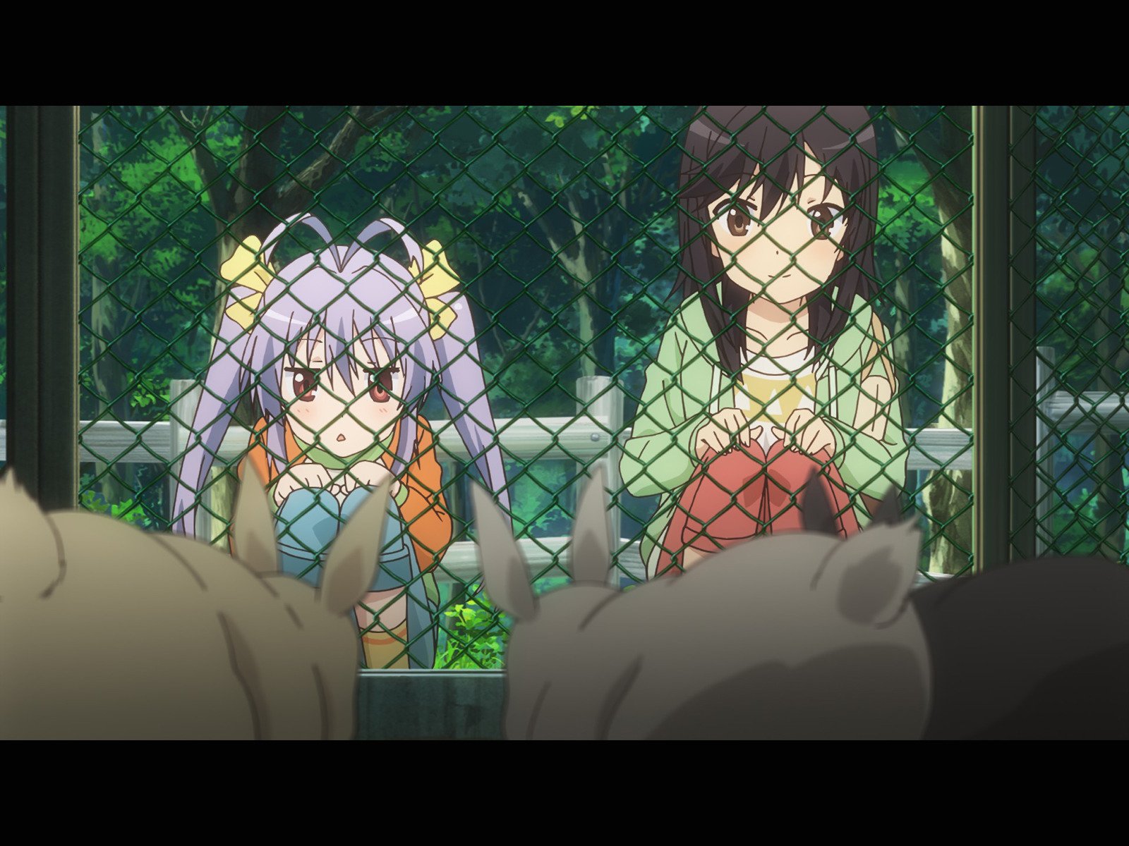 Amazon Co Jp のんのんびより りぴーとを観る Prime Video