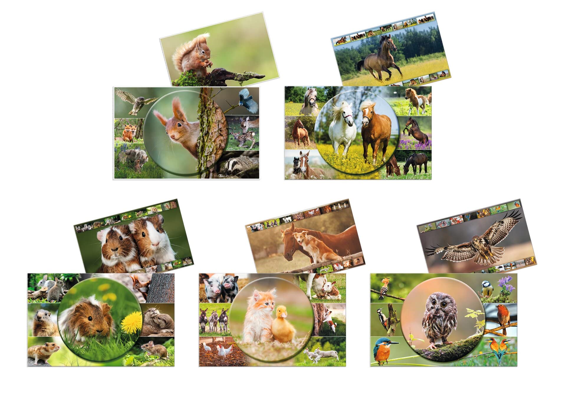 HERMA 19680 Desk Mats Animal Worlds Assortment, Pack of 10, Wipe-Clean Children's Cardboard Writing Pads, 55 x 35 cm, Double-Sided Motif Table Mat Set for Girls and Boys