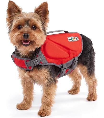 Amazon.com : Outward Hound Granby Splash Pink Dog Life Jacket, XS