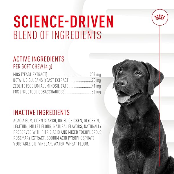 ROYAL CANIN DIGESTIVE DOG SUPPLEMENT SOFT CHEWS FOR ADULT DOGS, 60 COUNT
