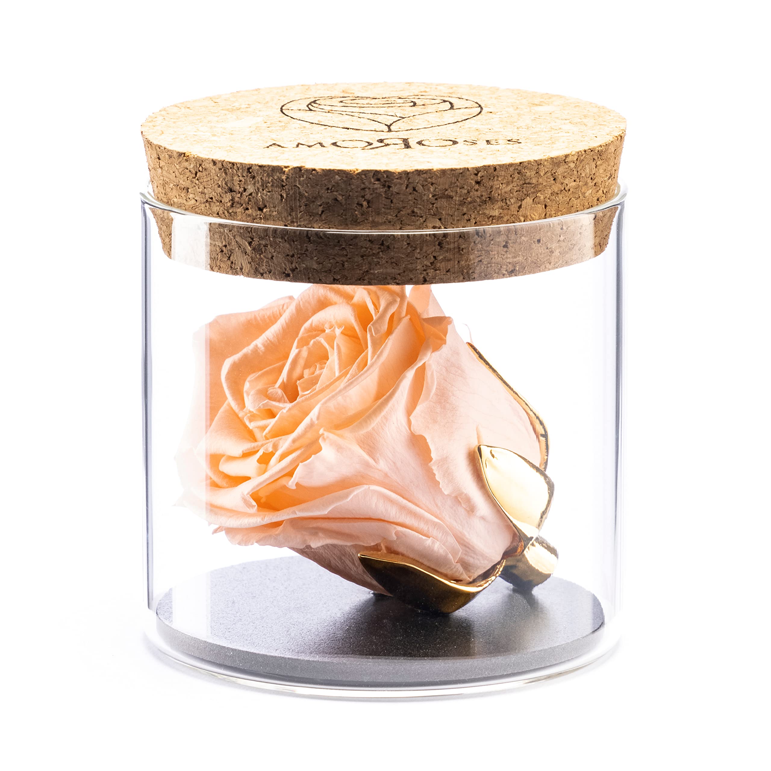 Amoroses Bijou - Eternal Stabilised Rose with 24K Gold Plated Calyx in Glass Jar | Gift Idea (Pale Peach Rose)