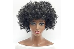 Everfun Fluffy Afro Short Curly Wig for Women Men Cosplay Anime Party Christmas Halloween Fancy Funny Clown Wigs Synthetic Hair (Black)