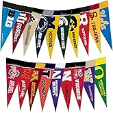 Rico Industries NCAA Big Ten Complete 4" x 9" Felt Mini Pennant League Set (Includes All Teams)