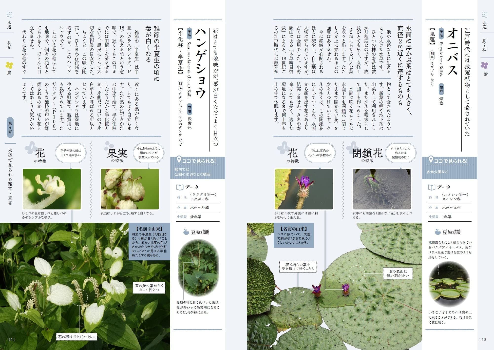 江戸東京草花図鑑 岩槻 秀明 本 通販 Amazon