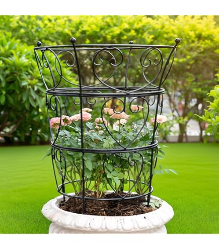 Amazon.com : DoCred 3 Pack Plant Support Cage Large Peony Cages