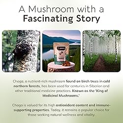 Longevity Botanicals Organic Chaga Mushroom Extract