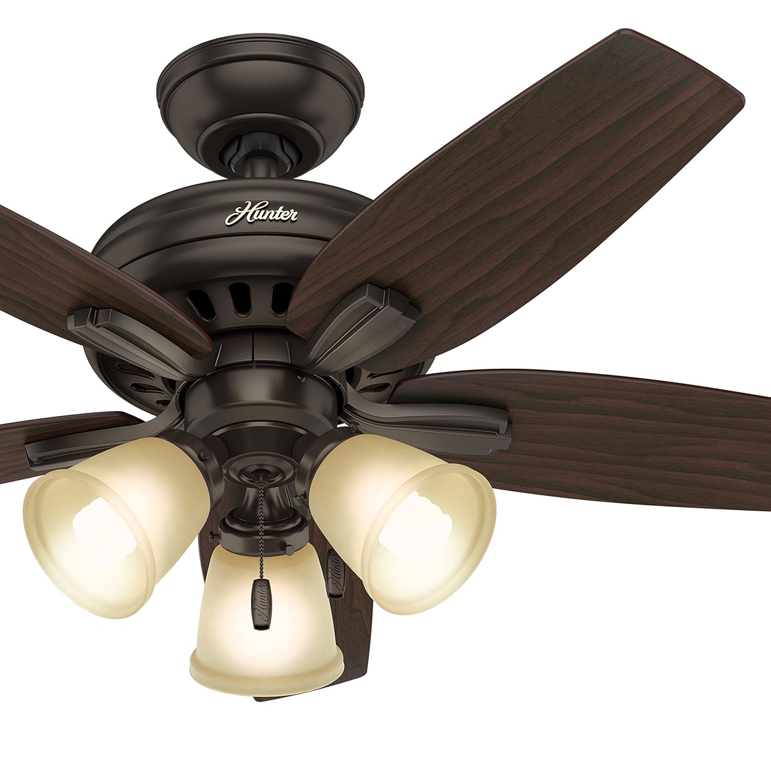 Hunter 42 Inch Ceiling Fan In Premier Bronze Includes Three Light
