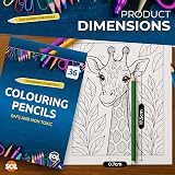 SOL 36 Colouring Pencils Assorted Set 36 Colors Break-Resistant Artist Tools view 2