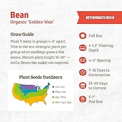 Back to the Roots 100% Organic Seed Packet - Bean