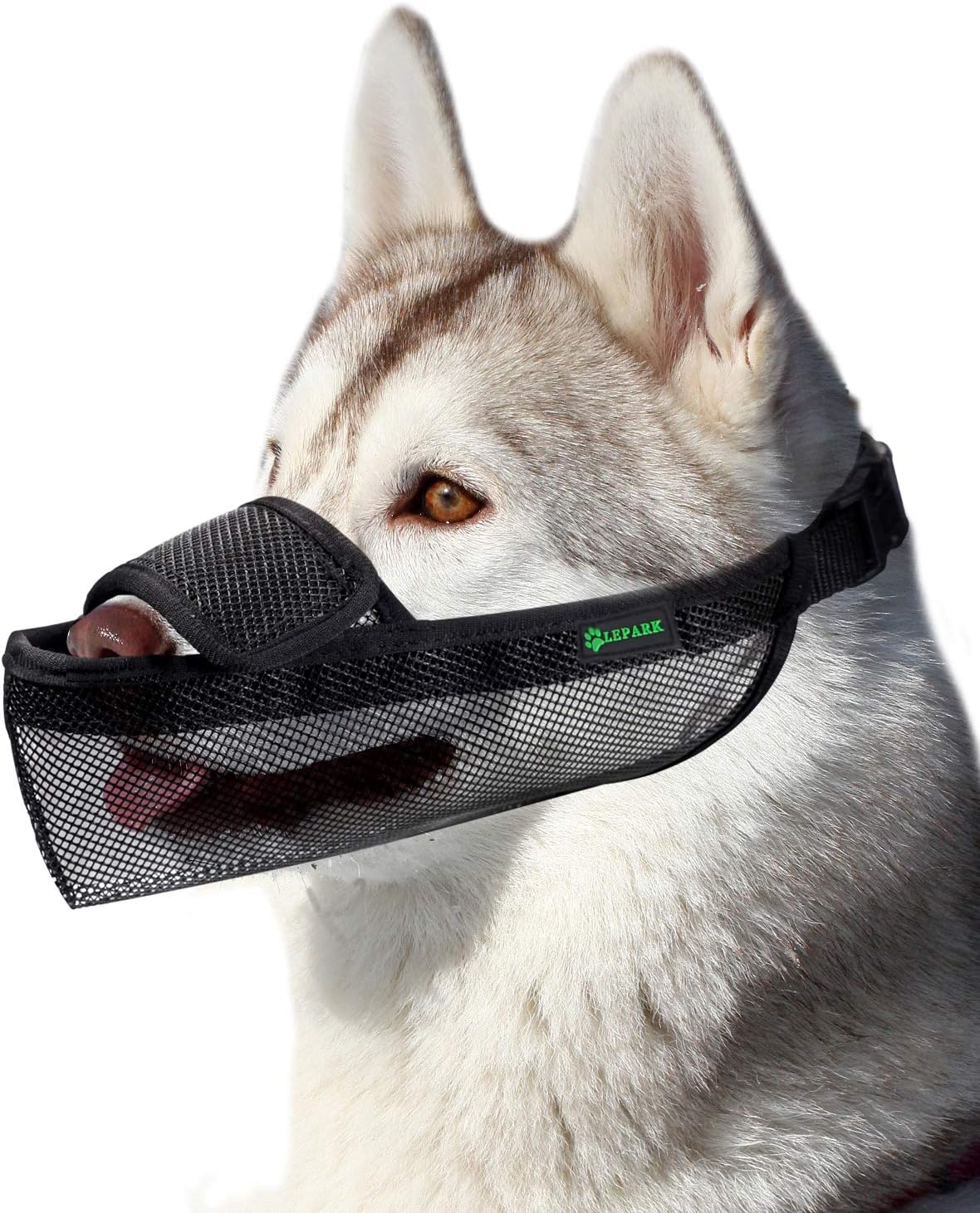 royal canin senior large breed