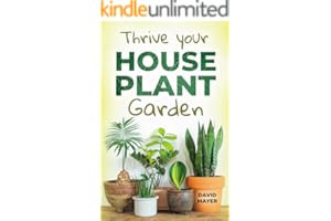 kindle best category lists