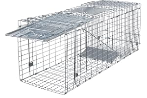 ANT MARCH Live Animal Cage Trap 32''x11.5"x13" Steel Humane Release Rodent Cage Iron Door for Rabbits, Stray Cat, Squirrel, Raccoon, Mole, Gopher, Opossum, Skunk, Chipmunks, Groundhog