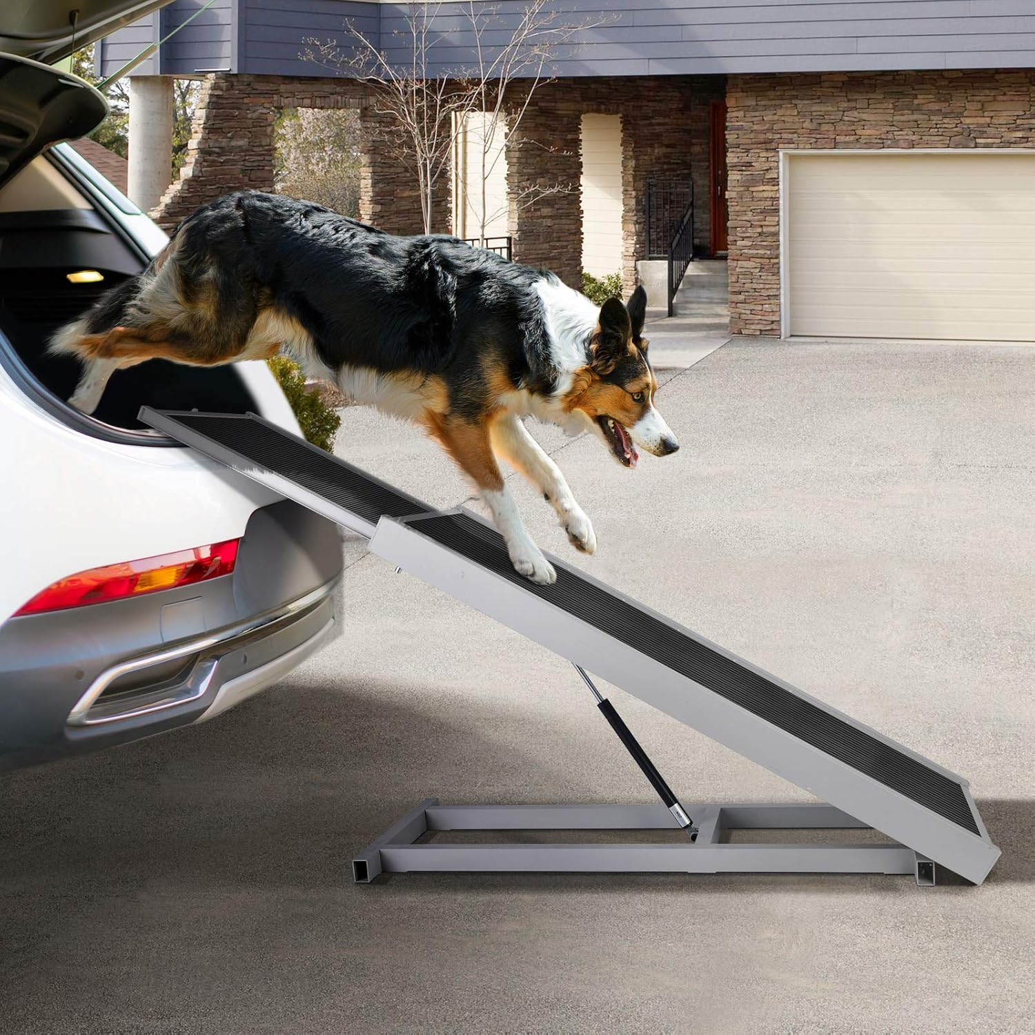 bmw x5 dog ramp