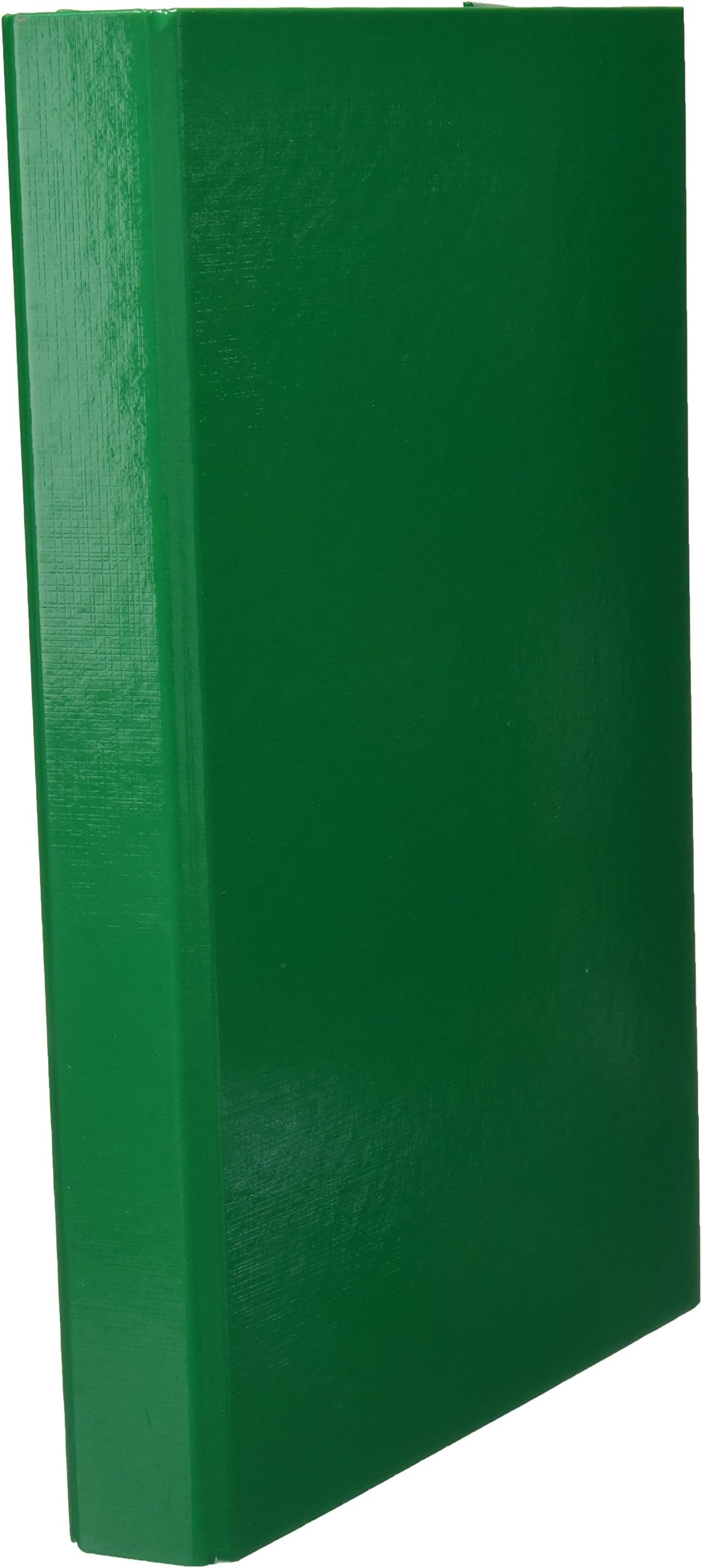 Pagna File Box, Basic Colours, A4, 3 Inside Flaps, with Elastic Band Closure, Green