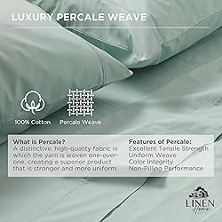 100% Cotton Percale Queen Fitted Sheet, Pastel