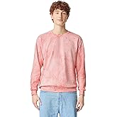 Comfort Colors unisex-adult Crewneck Sweatshirt, Style G1566/G1545