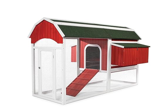 Amazoncom Prevue Pet Products 467 Large Barn Chicken Coop Red