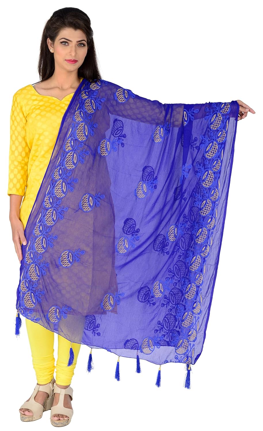 lionize women's pure chiffon embroidered dupatta with tussels at pallu