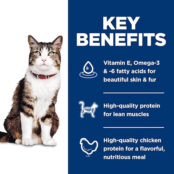 HILL’S SCIENCE DIET ADULT 1-6 HAIRBALL CONTROL DRY CAT FOOD, CHICKEN, 3.5 LB. BAG