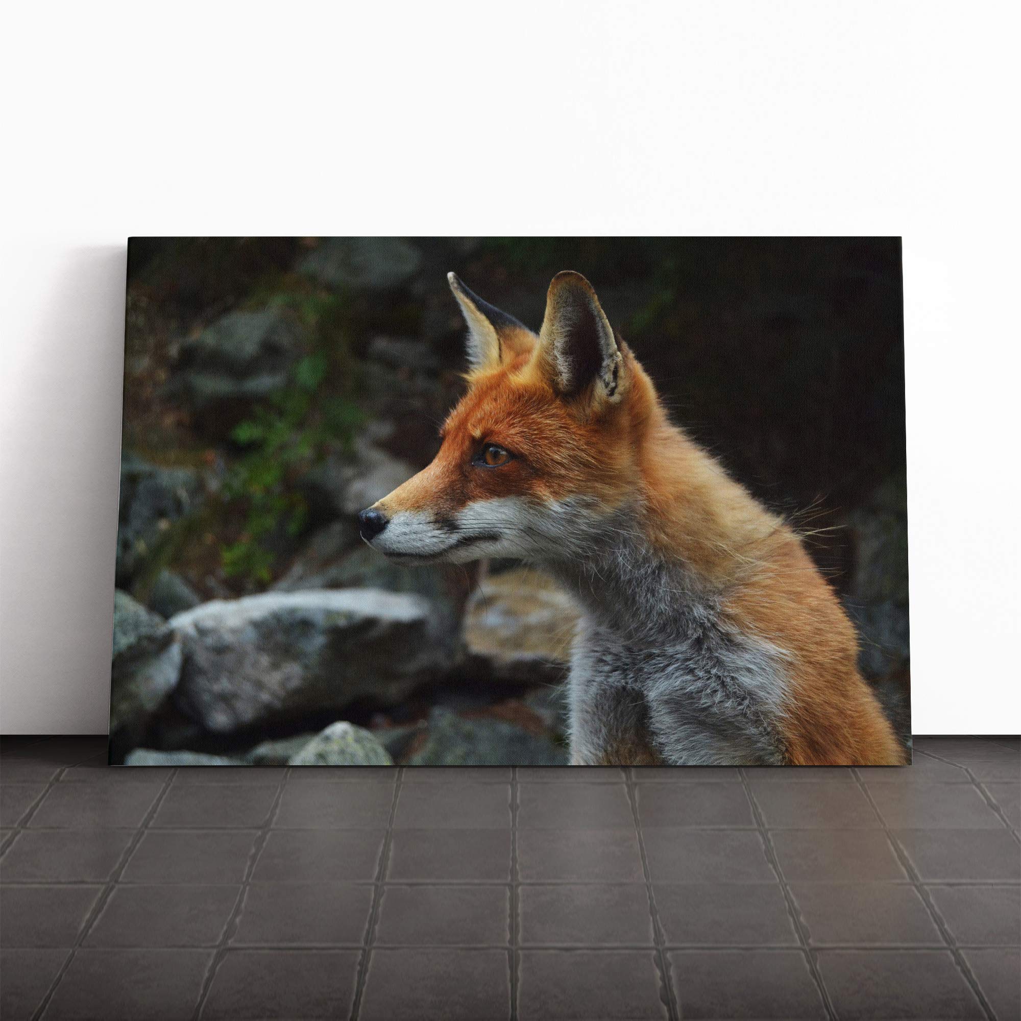 Red Fox (6) Canvas Print | Gallery Wrapped 30mm Frame Wall Art | 20x14 inches | Ready to Hang | Modern Animals Picture | Living Room Bedroom Lounge Office