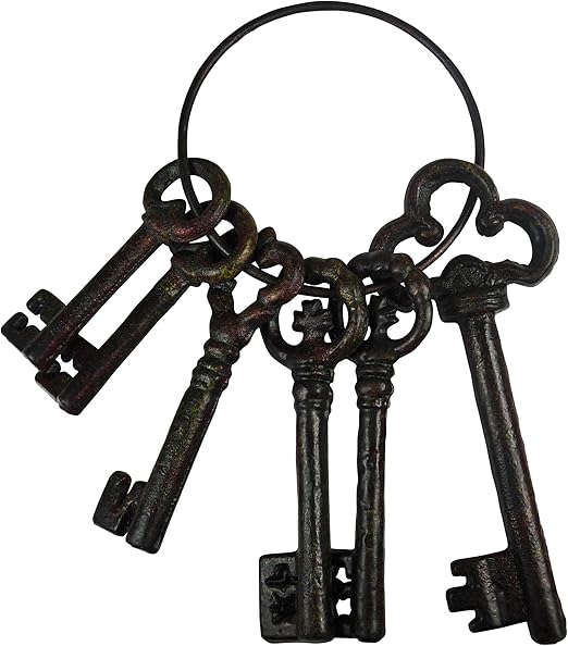 ZLPBAO Vintage Schlüssel Set - 60 Teile Mit Libellenflügeln Für Deko & Basteln