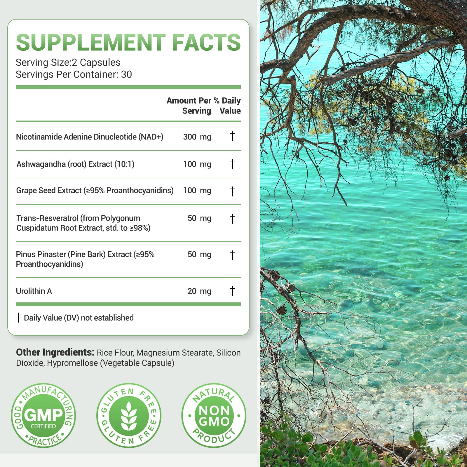 Nature Whisper NAD+ Resveratrol Supplements, 6-in-1 Complex with Trans-Resveratrol & Urolithin A, Ashwagandha, Grape Seed & Pine Bark Extract for Cellular Energy & Healthy Aging - 60 Capsules