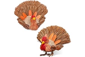 HOHUCRAB 2PCS Thanksgiving Decorations Turkey, Thanksgiving Decorations for Table, Natural Material Turkey Decorations for Home, Thanksgiving Decorations Indoor