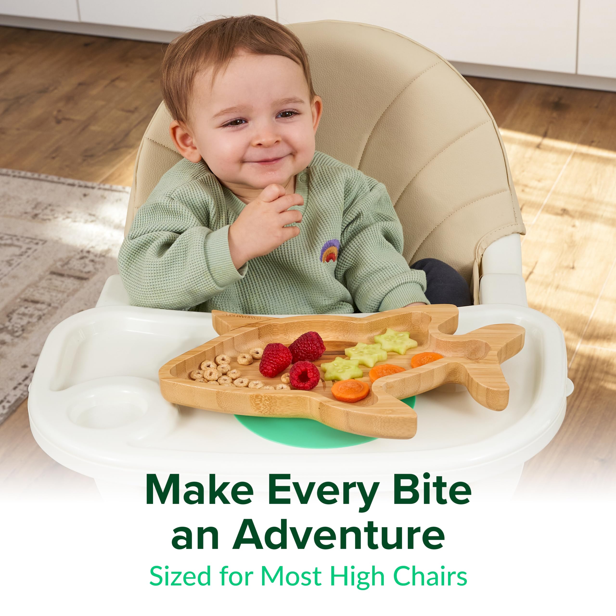 View 5