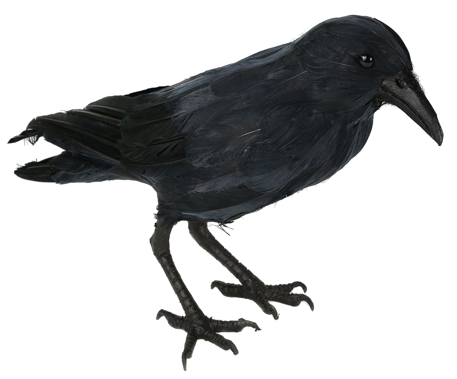 Hunting Crow Rook Hunter Hunting Call Caller Decoy Bird Crows Caller