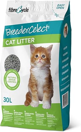 kong genius leo large