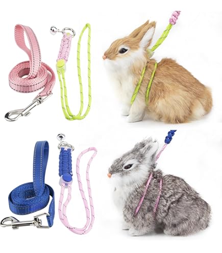 Ferrets, Rabbits, and Rodents 獣医　エキゾチック 9780323484350.jpg