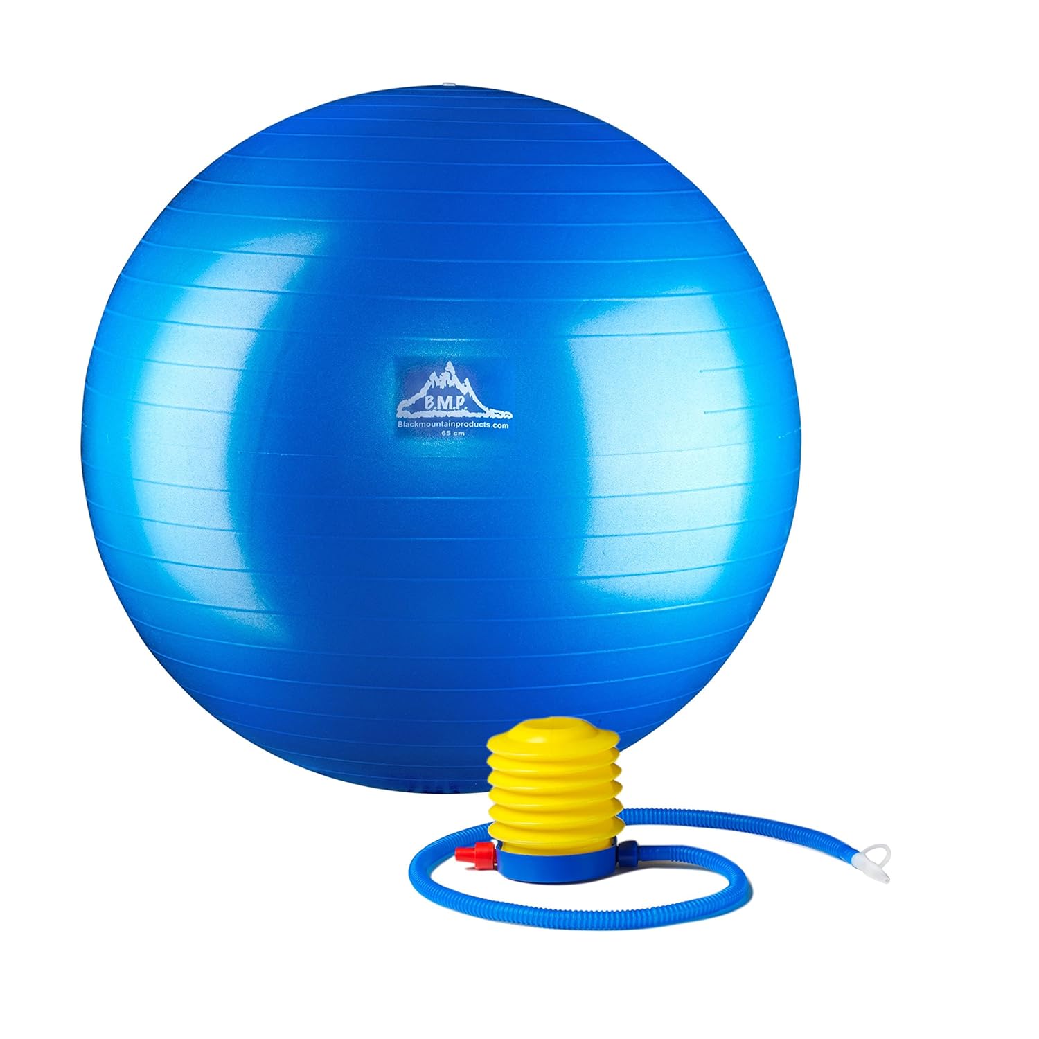 65-Centimeter Black Mountain Products PSPURP Professional Grade Stability Ball 1000lbs Anti-Burst 2000lbs Static Weight Rated