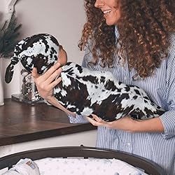 Figtihw Cow Swaddle Blankets Newborn Receiving