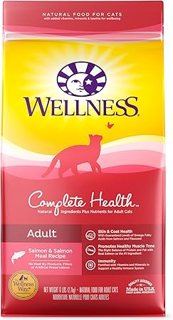 amazon wellness cat food