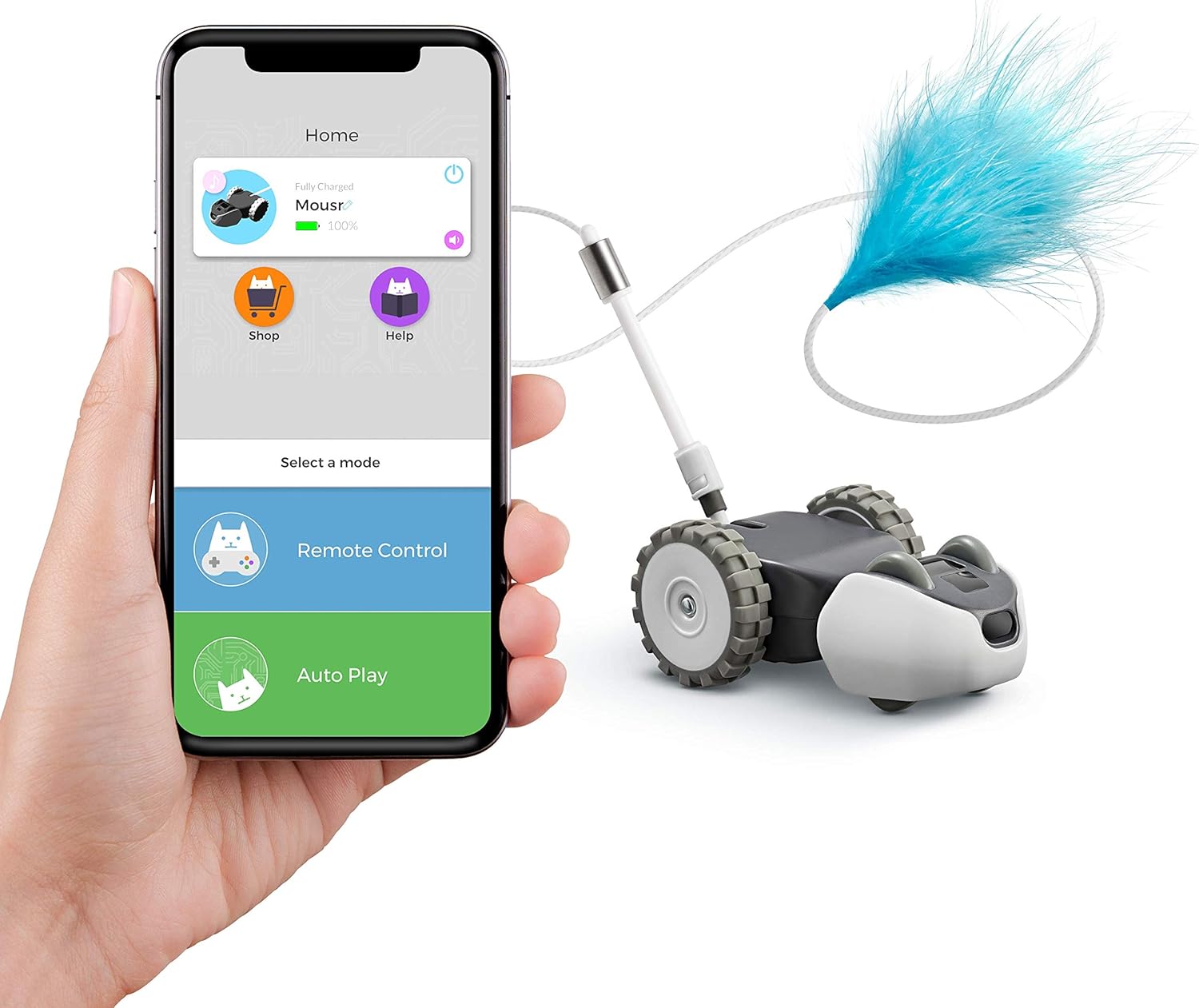 app controlled mouse cat toy