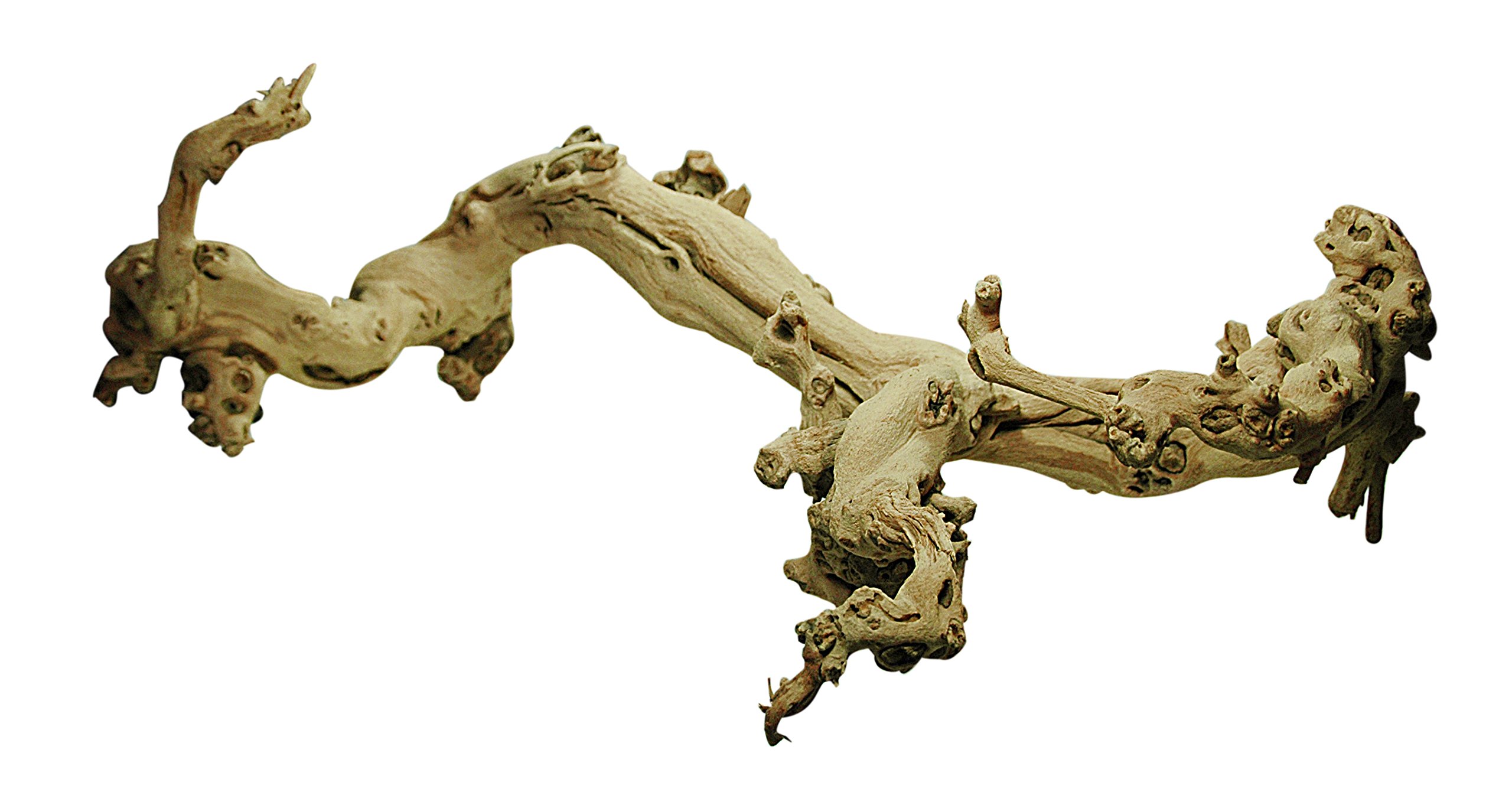 Lucky Reptile DRL- XL Sand-Blasted Grape Vine, XL